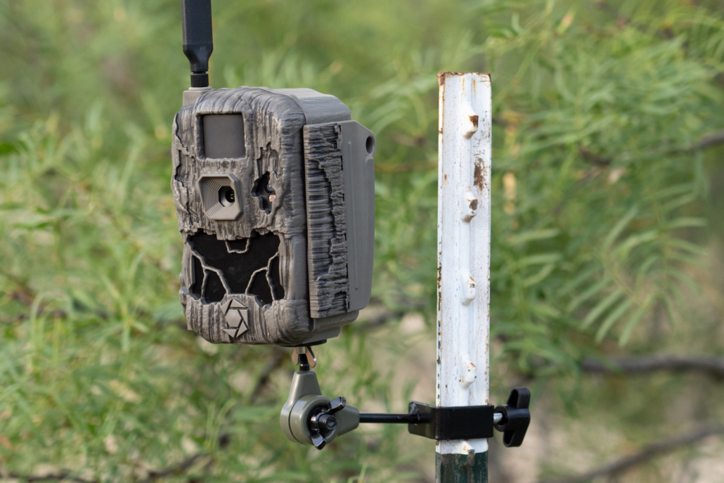 Trail Camera mounted to a T-Post
